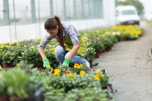 Gardener assessing a residential garden in Addiscombe with clipboard