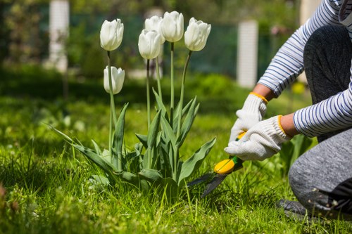 Garden maintenance team inspecting a front garden
