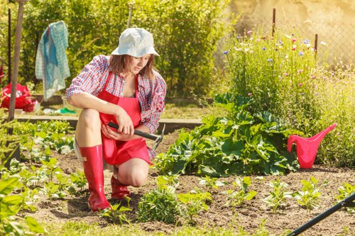Inspector reviewing garden maintenance records on site
