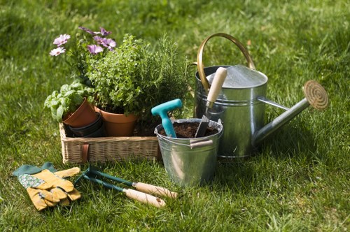 Gardeners sorting green waste at the beginning of a sustainable yard project