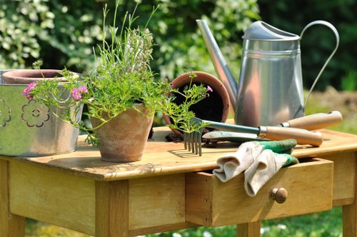 Seasonal garden care activities in Addiscombe