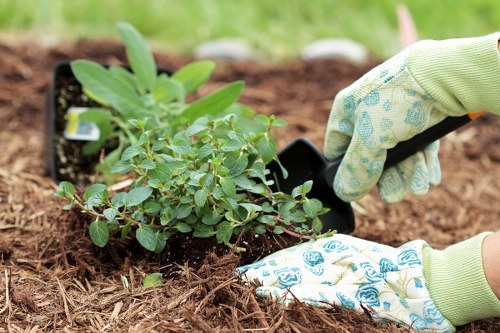 A clean and decluttered garden after professional clearance