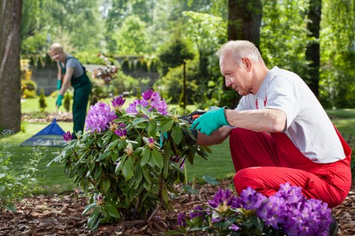 Professional pruning of shrubs in Addiscombe
