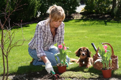 Gardener tending to plants in Addiscombe garden