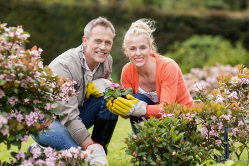 Lush garden with healthy plants and flowers
